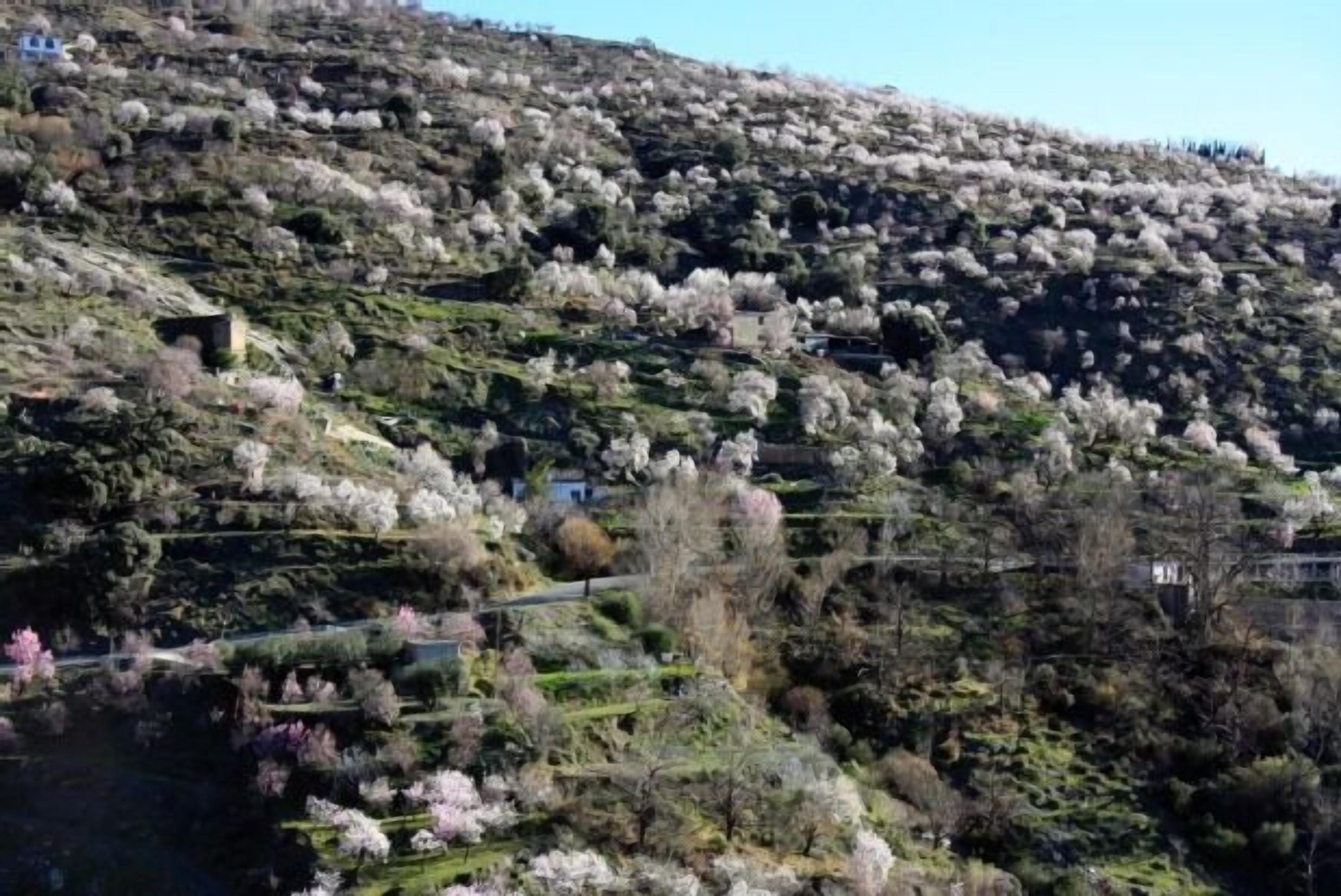 Aula´s Cottage in Villa Buena Vista for 2 people