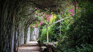 A pathway lined with trees and flowering plants, leading to a bench. - Elegant 7-Bedroom Château in Burgundy Wine Country Near Chablis & Auxerre (Hauterive)