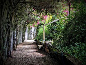 Property grounds - Elegant 7-Bedroom Château in Burgundy Wine Country Near Chablis & Auxerre (Hauterive)