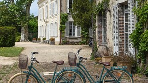 A vintage bicycle with baskets and a seat, parked on a cobblestone path in front of a historic building with white shutters and brick walls. - Elegant 7-Bedroom Château in Burgundy Wine Country Near Chablis & Auxerre (Hauterive)