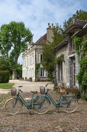 Exterior - Elegant 7-Bedroom Château in Burgundy Wine Country Near Chablis & Auxerre (Hauterive)