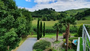 A lush garden with a gravel path, cypress trees, and a palm tree. - Great architect Villa with swimming pool (Ossen)