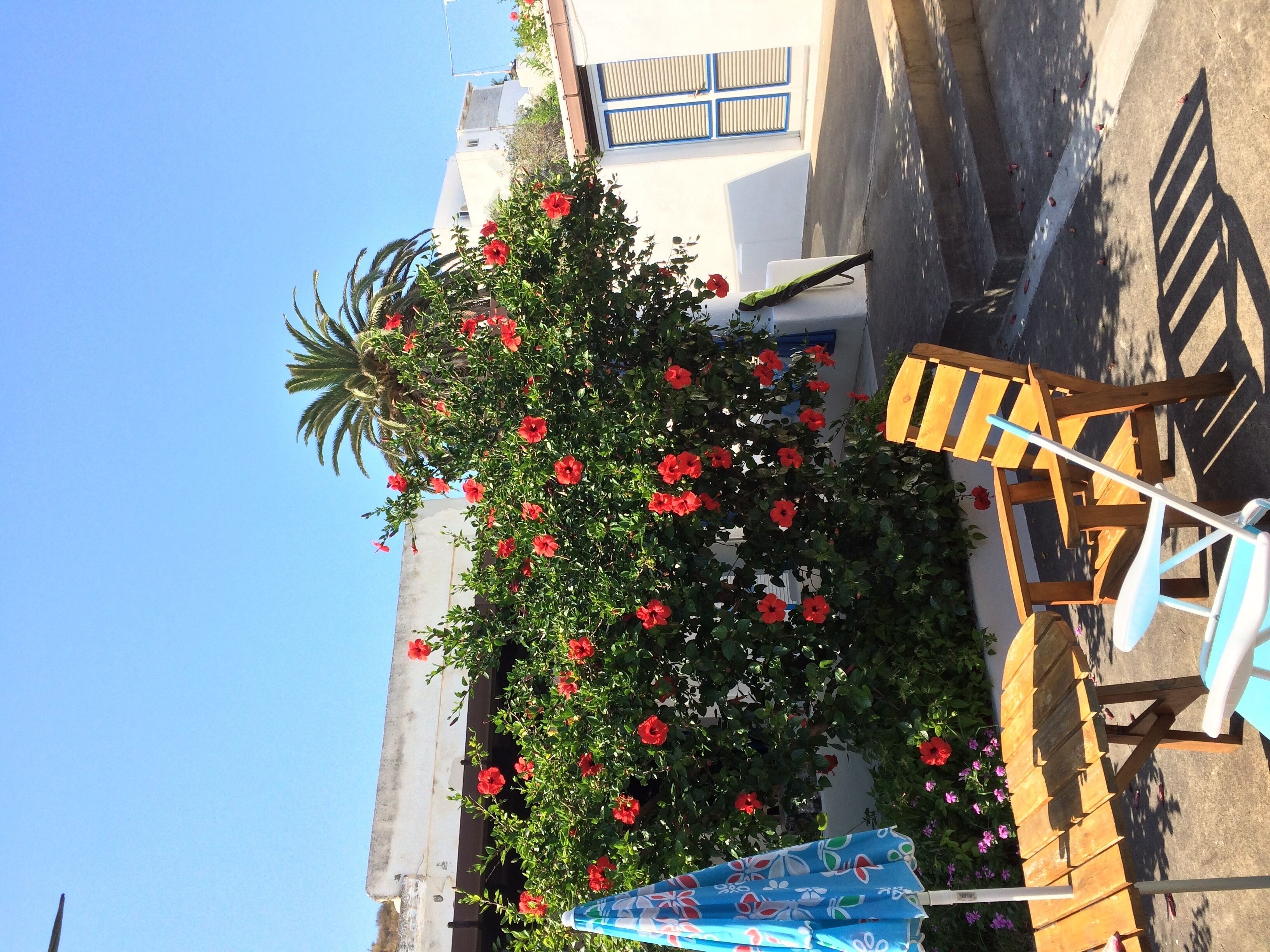 Relaxing holiday by the sea