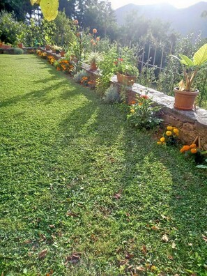 Stroll through the beautifully maintained garden, surrounded by lush plants and a serene lawn.