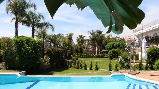 A swimming pool with blue tiles, surrounded by lush greenery and palm trees.