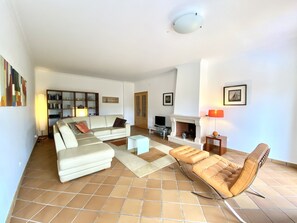 Télévision, cheminée, lecteur de DVD, livres