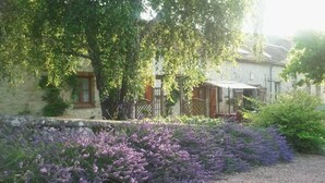 A gravel path leading to a stone wall with lavender plants. - Country Cottage / Gite - Poligny (Poligny)