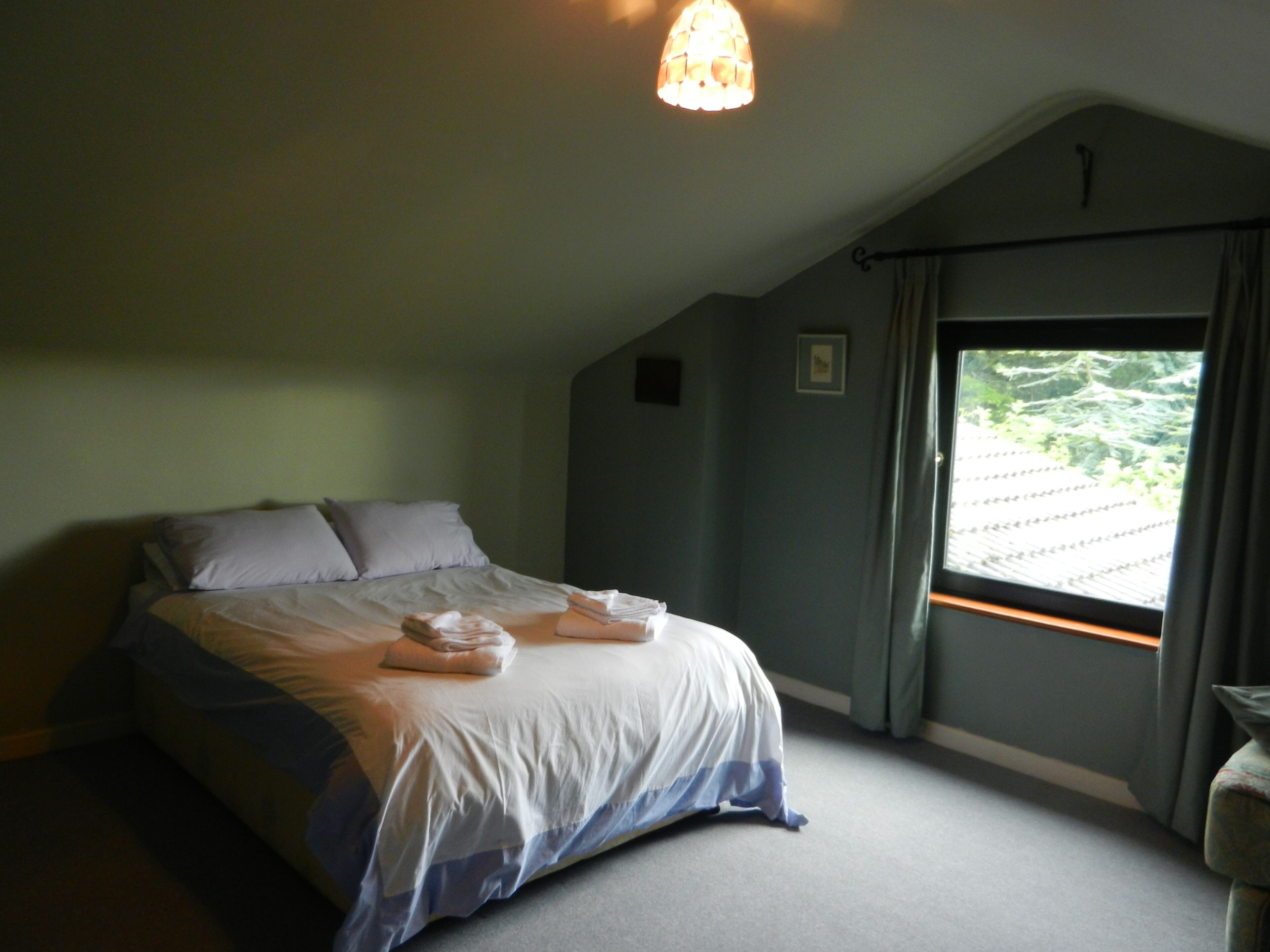 Une chambre à coucher avec un lit, une fenêtre et un luminaire au plafond.