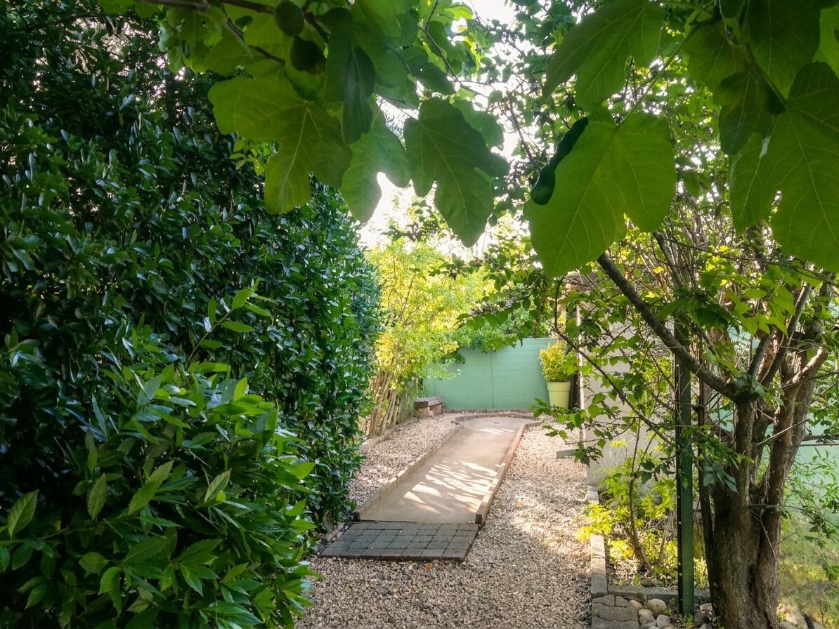 Un sentier qui traverse un jardin bordé de chaque côté d’une végétation dense.