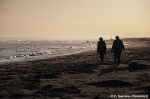 Plage à proximité