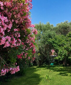 Un jardín con flores rosadas, césped verde y varios árboles.