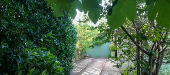 House with garden