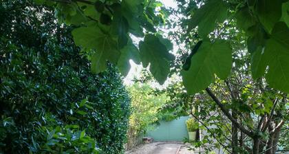 Haus mit Garten