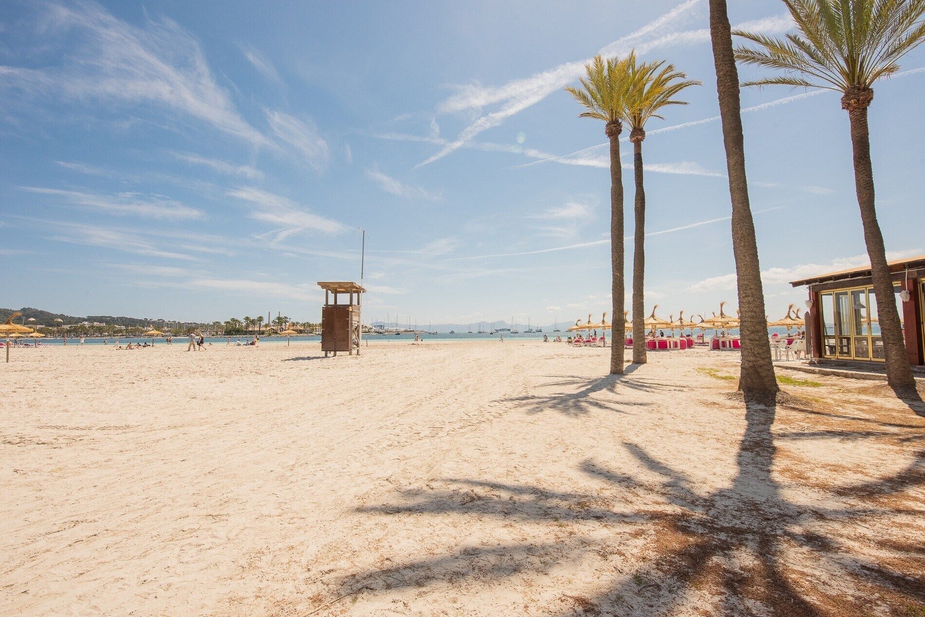 A beach with palm trees, a lifeguard tower, and beach umbrellas.