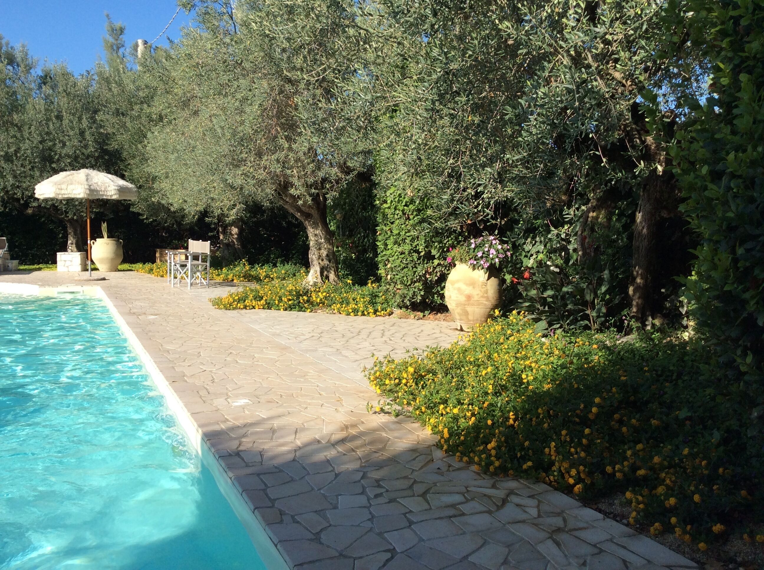 A swimming pool with a stone pathway leading to a seating area with umbrellas.