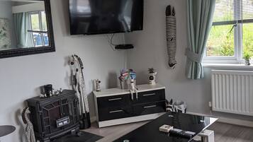 Smart TV, libros