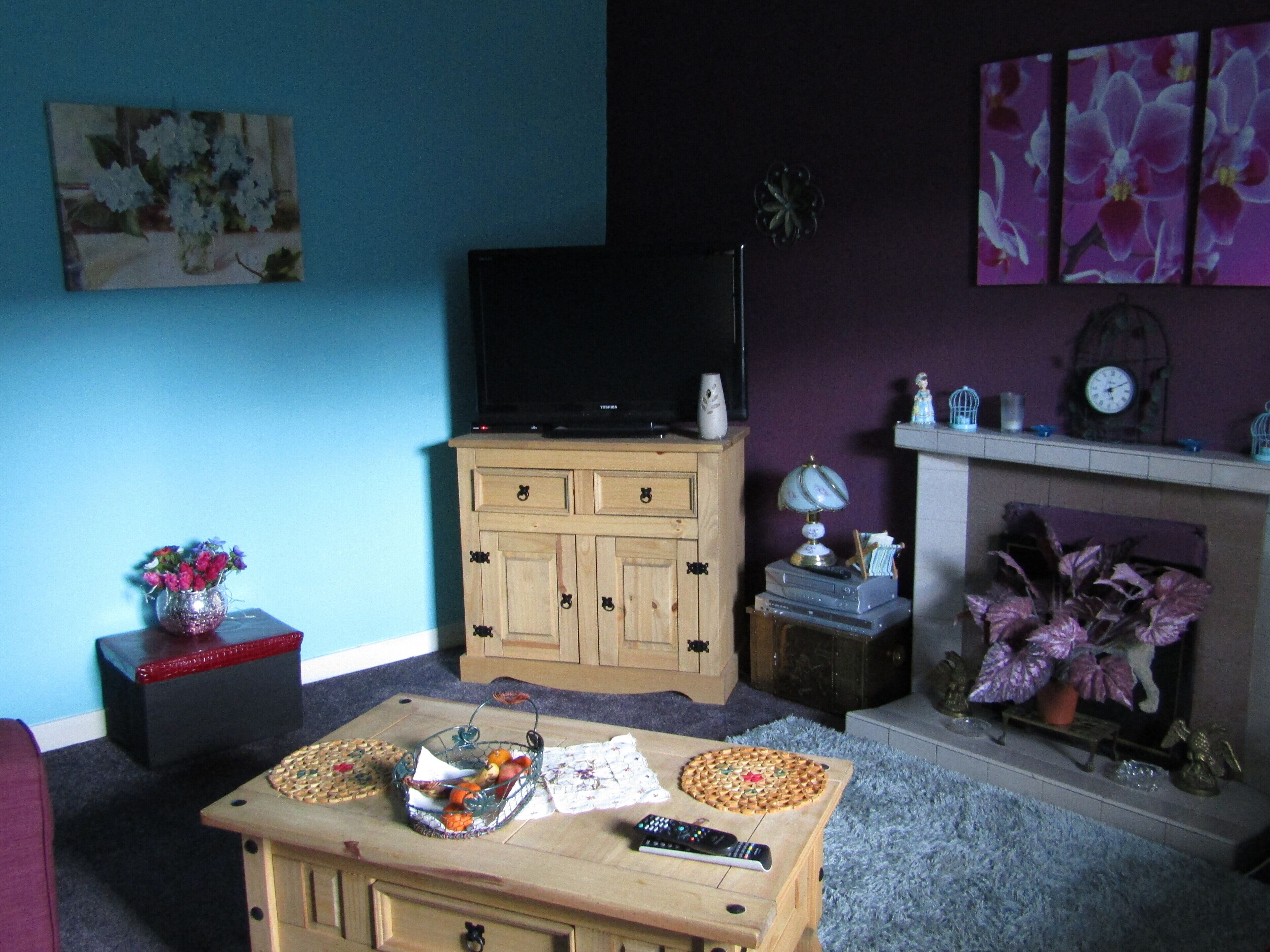 TV, fireplace, DVD player, books