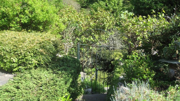 Un jardin avec un sentier de pierres menant à un portail en métal, le tout entouré d’une végétation luxuriante.