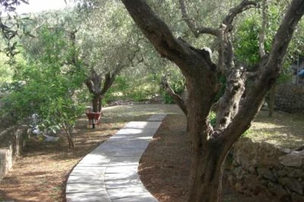 Garten, Park