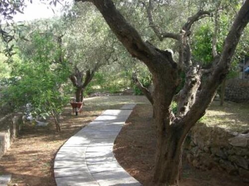 Ferienwohnung - Monte argentario