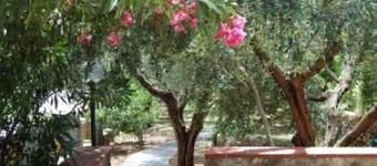 Apartment/ flat - Monte argentario