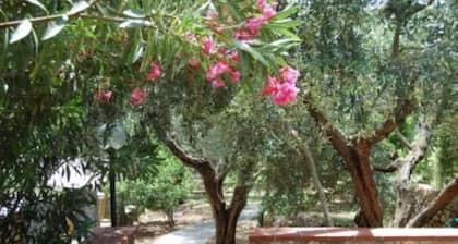 Piso / apartamento - Monte argentario