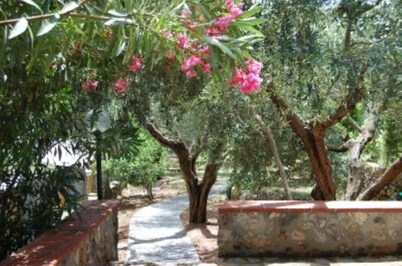 Piso / apartamento - Monte argentario