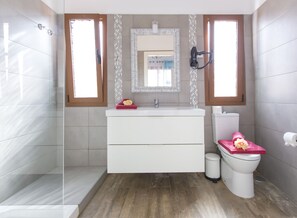 Ducha, secador de pelo, toallas y papel higiénico