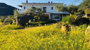 Ett vitt hus med en balkong, omgivet av ett fält med gula blommor och grönska.