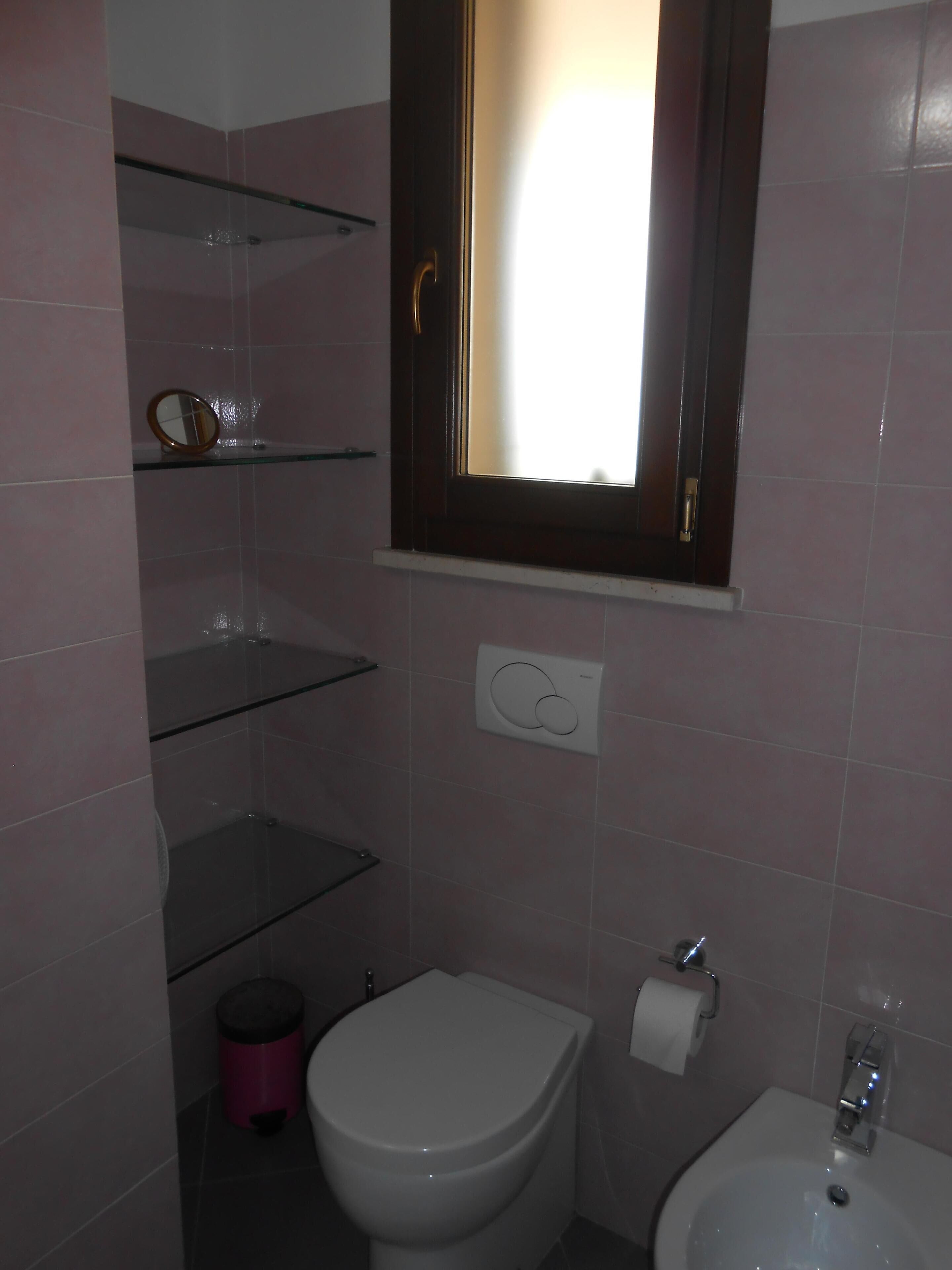 Sea view on the island of rabbits, near beaches and center