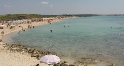 Sea view on the island of rabbits, near beaches and center