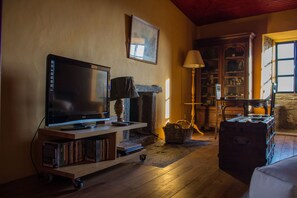 Smart TV, fireplace, video games, DVD player