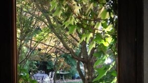 Vista a través de un ventanal con un árbol y un césped.