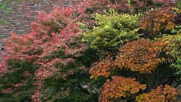 DĂ©tail de lâextĂ©rieur