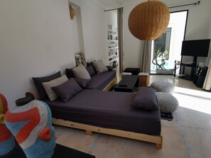 Televisión, chimenea, reproductor de DVD y libros 