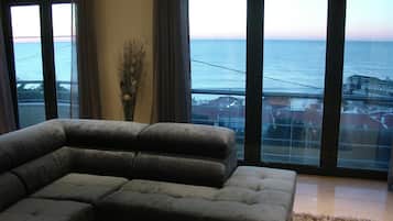 TV, fireplace, DVD player, stereo