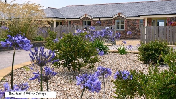 A cottage with a brick exterior, a wooden fence, and purple flowers in the garden. - Hazel Cottage Purpose built wheelchair friendly cottage (Truro)