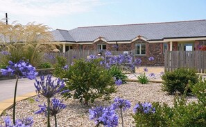 A cottage with a brick exterior, a wooden fence, and purple flowers in the garden.
