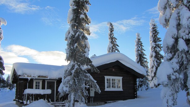 A wooden cabin surrounded by snow-covered trees.