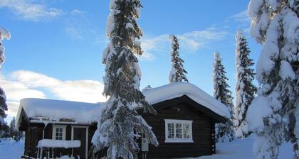 Koselig perhe mökissä Skeikampen sydämessä av Norja