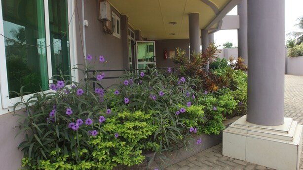 A building with a covered entrance, a fire extinguisher, and a variety of plants including purple flowers and green foliage.