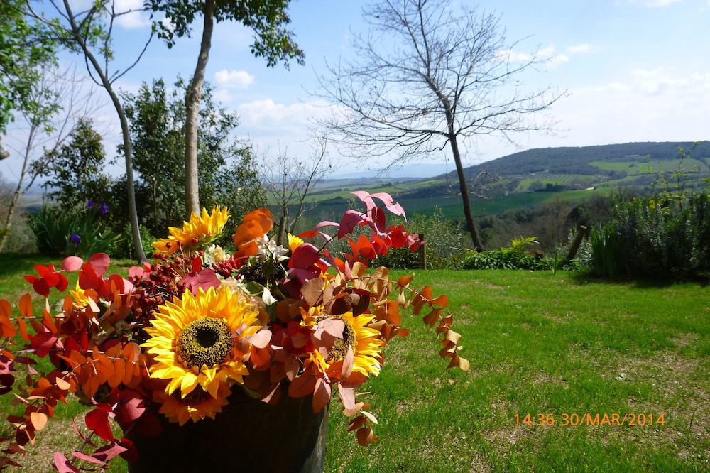 House with garden in the middle of etruscan hills