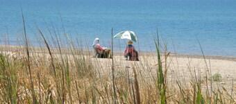 Villa del Glicine - Antica Villa, immersa nel verde, accesso diretto in spiaggia