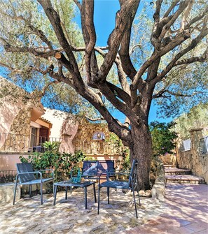 Our beautiful olive tree relax and enjoy the natural shade, next BBQ , April 23
