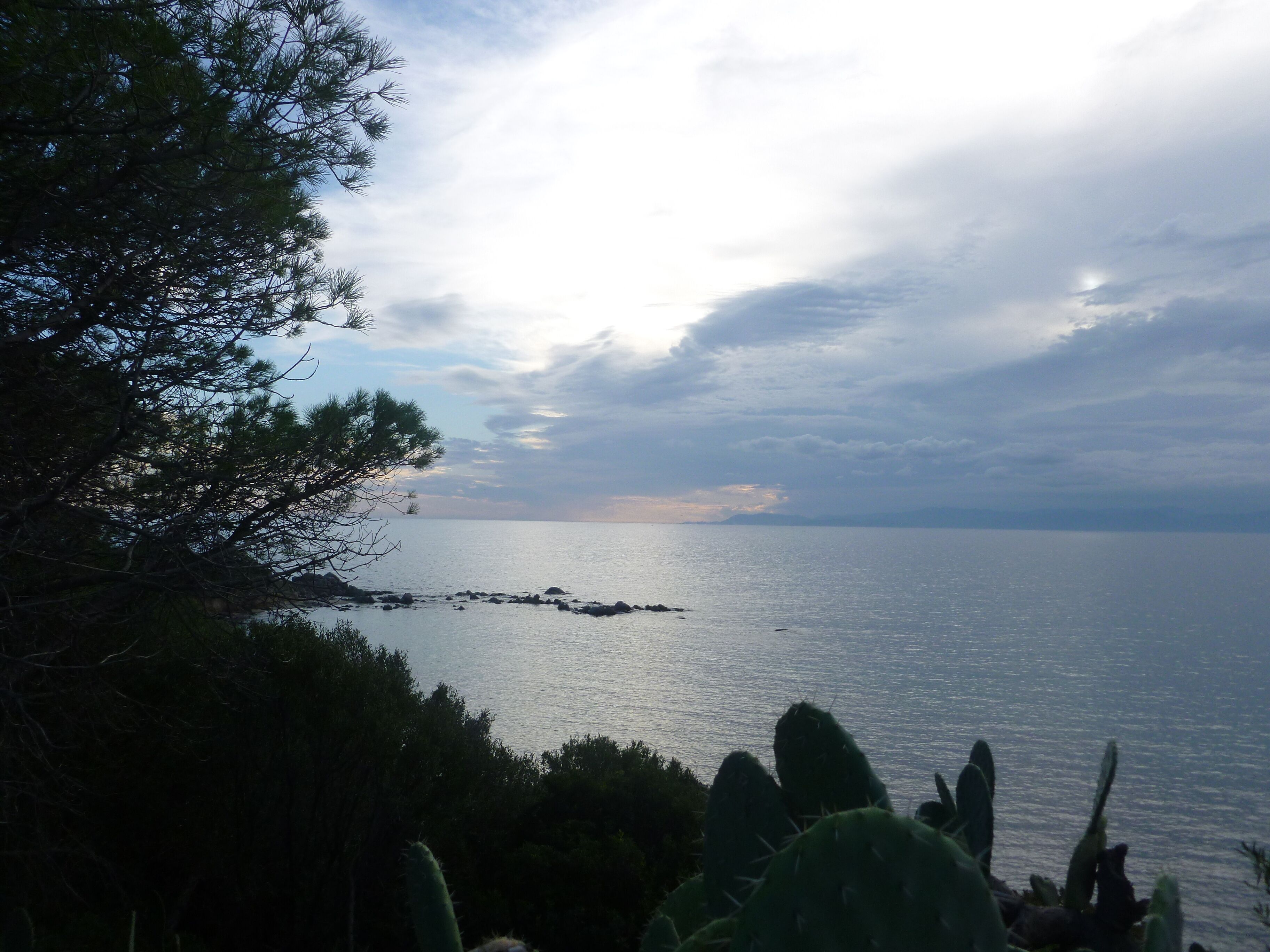 local view