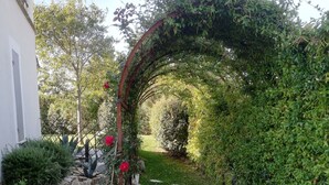 Un sentiero in giardino con bordura in pietra, un arco in metallo ricoperto di verde e diverse piante e fiori.