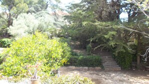 Un jardín con diversas plantas y árboles, un sendero de piedra y un muro de ladrillo.