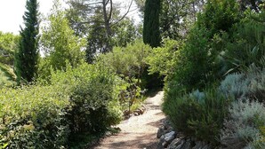 A gravel path surrounded by dense greenery and tall trees. - Beautiful House With Tower Close To The Picturesque Town Of Lorgues. (Lorgues)