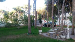 Un jardín con diversas plantas y árboles, un camino pavimentado y un coche estacionado.