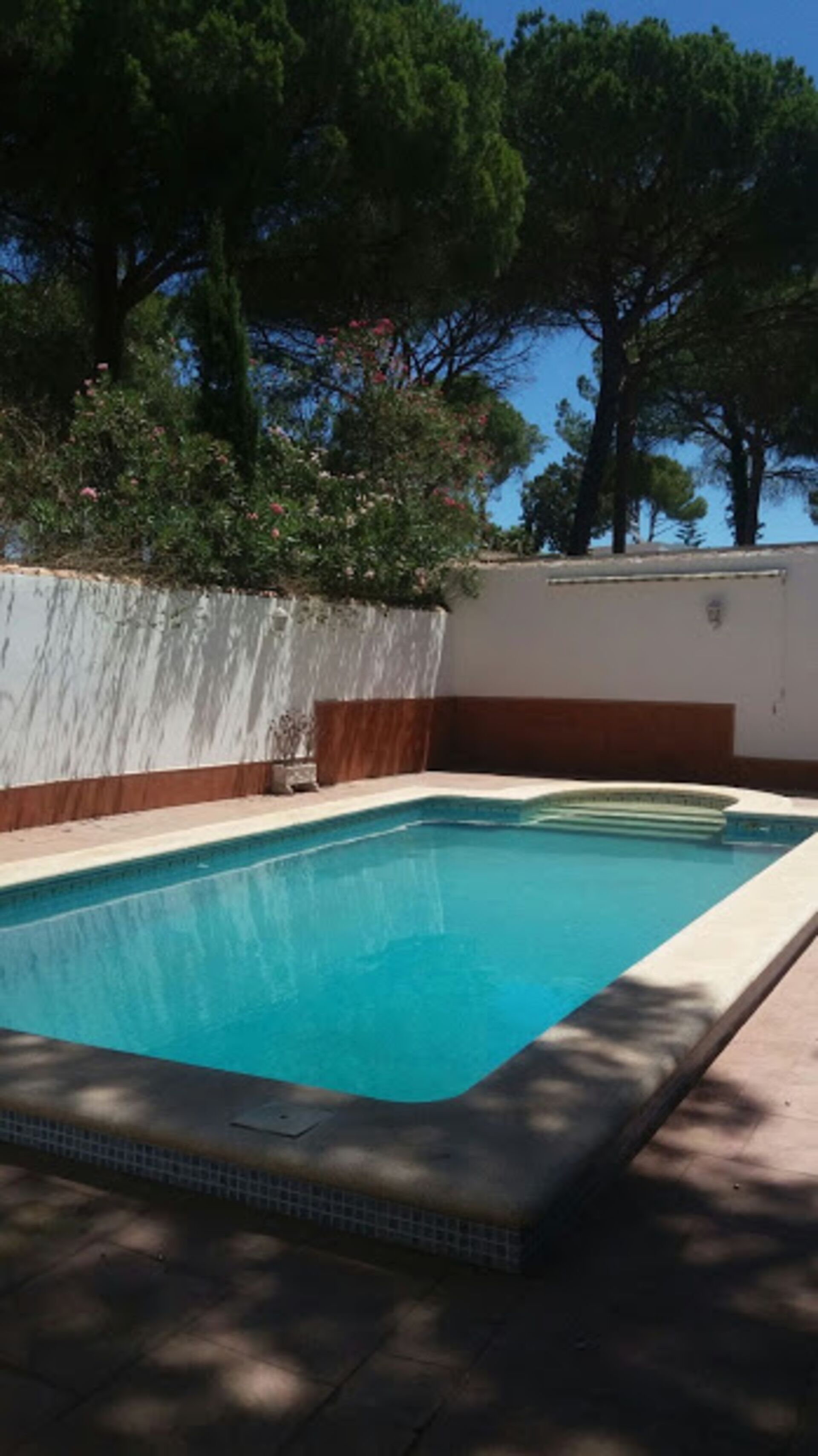 A rectangular swimming pool with a tiled edge, surrounded by a low wall with a white and brown color scheme, and trees in the background.
